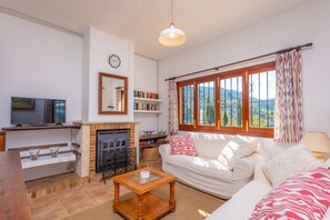 Una televisión, una chimenea, libros