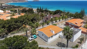 A coastal residential area with houses, palm trees, and a clear view of the ocean.