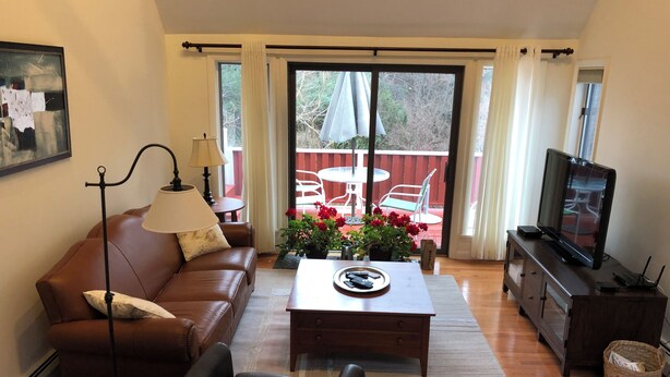 Ein Wohnzimmer mit braunem Ledersofa, einem Couchtisch mit Fernbedienung, einem Fernseher auf einem Holzboden und einem Balkon mit Gartenmöbeln und Pflanzen.