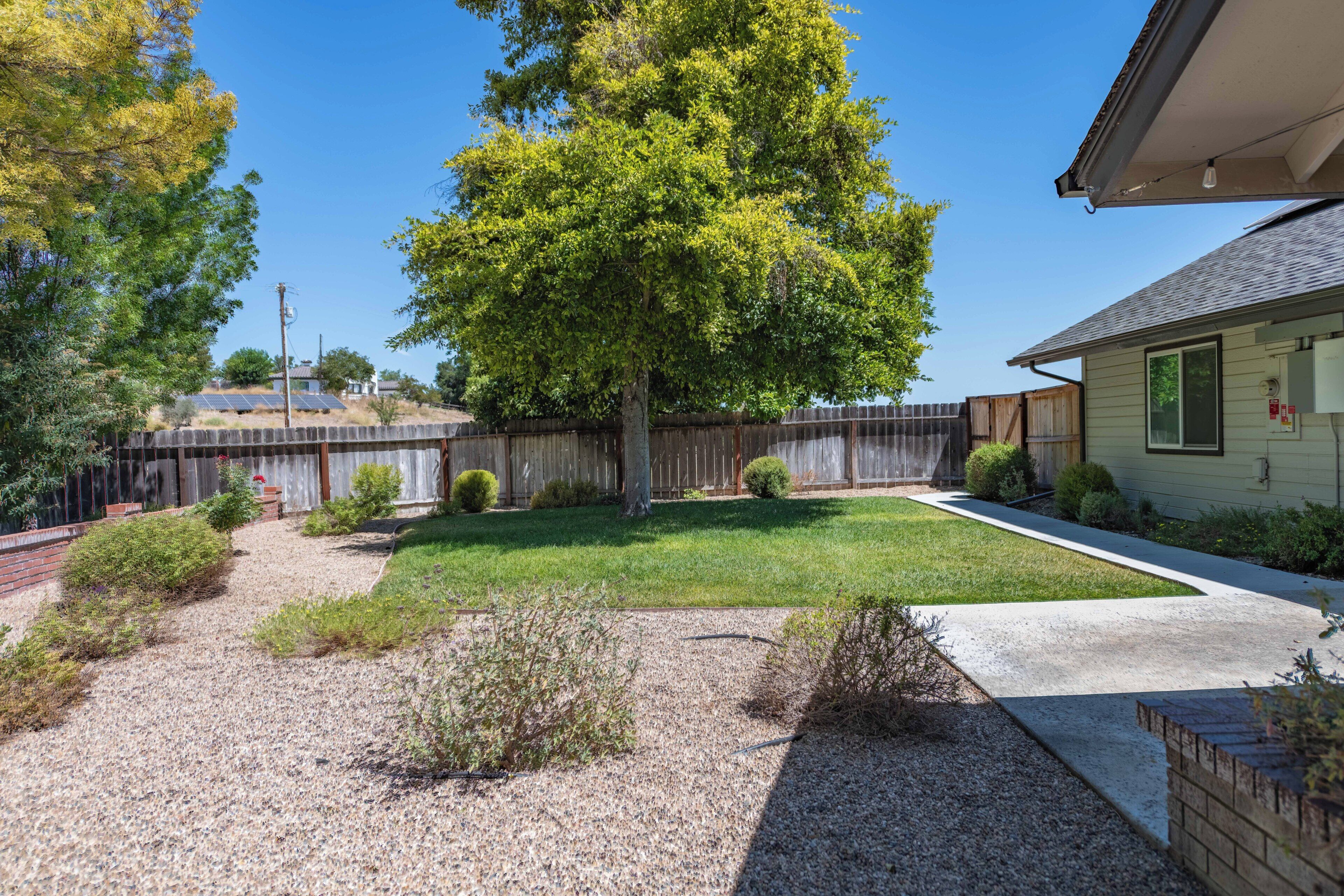 A residential backyard with a lawn, a wooden fence, and a house with a visible garage door.