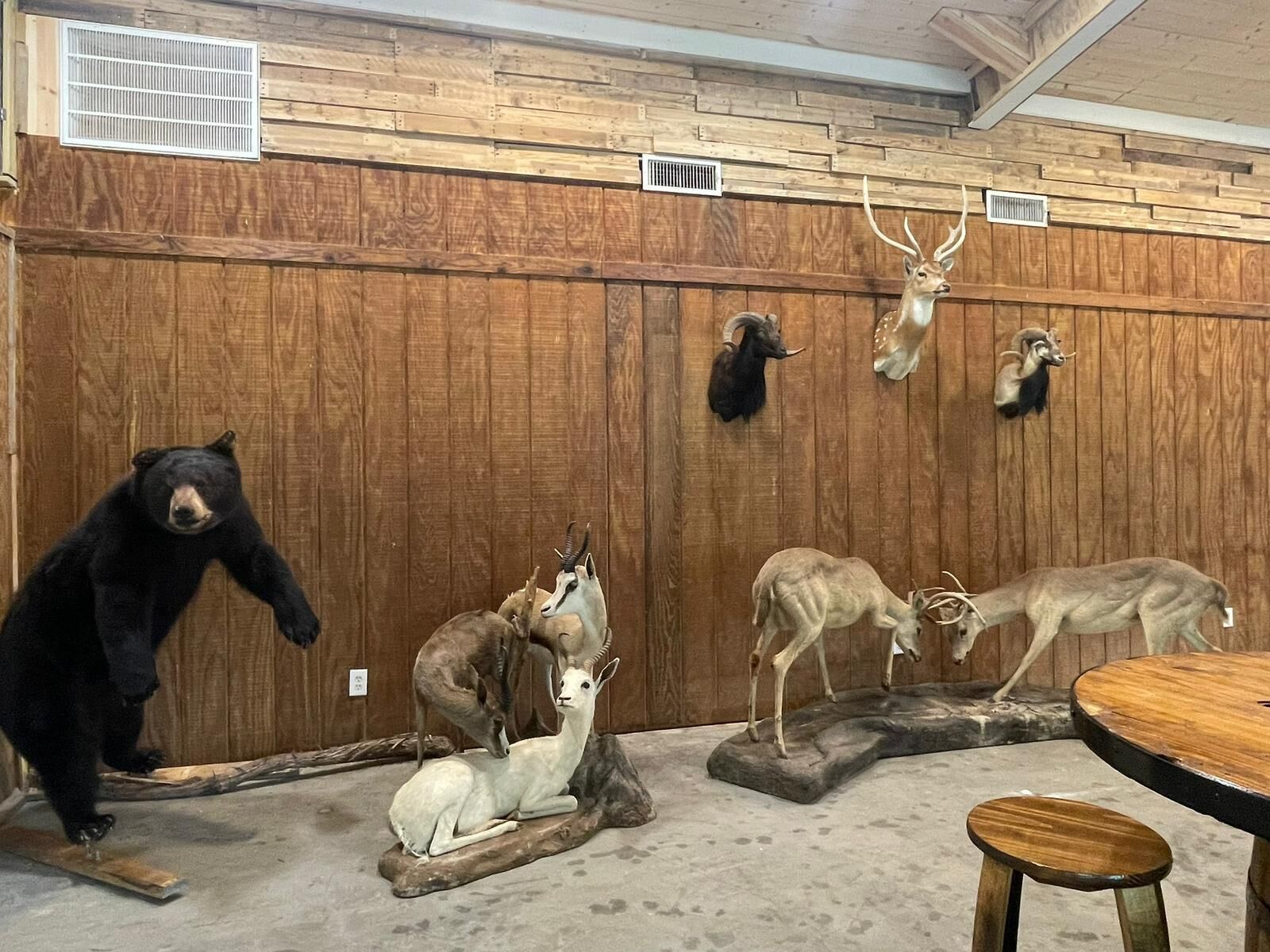 A room with wooden walls, mounted animal heads, a bear statue, and a round wooden table with stools.