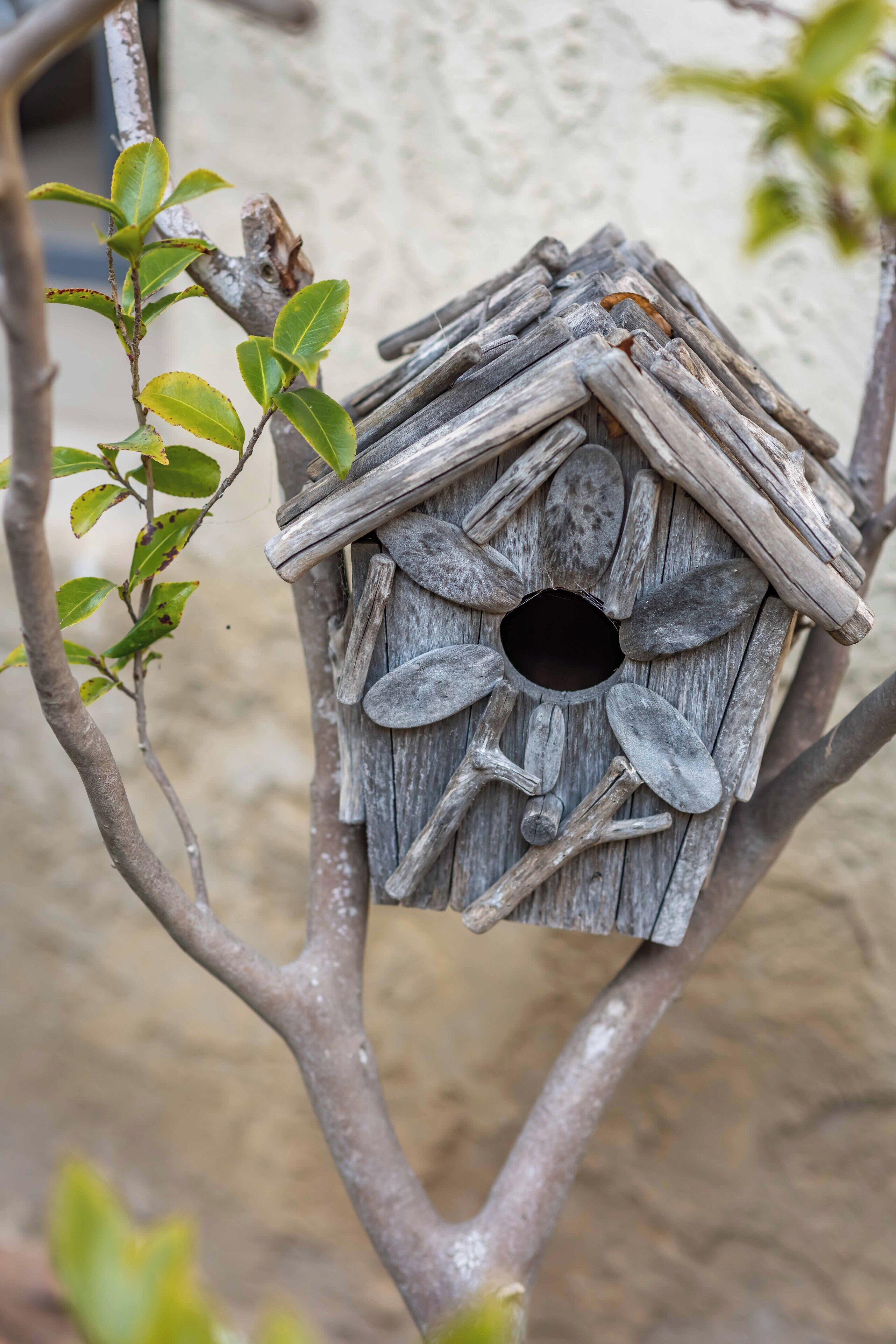 Un comedero de pájaros de madera con entrada circular, sujeto a una rama de árbol.