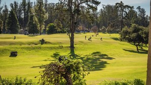 Ein Golfplatz mit einem gepflegten Grün, Bäumen und blauem Himmel.