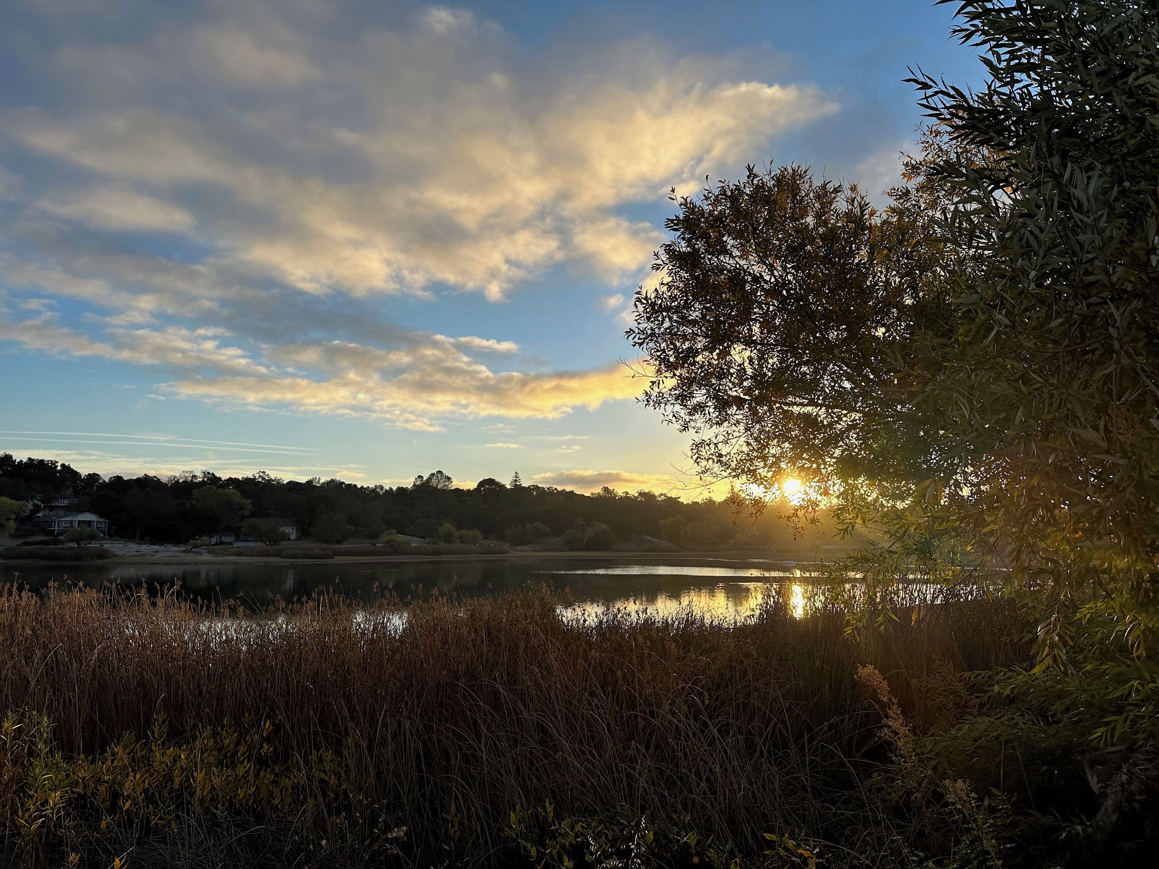 A serene lakeside view with a sunset, surrounded by dense vegetation and a distant house.