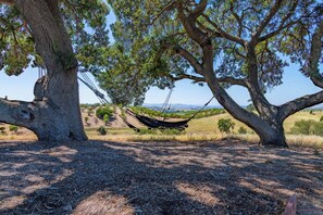 A hammock between two trees in a natural setting. - Hilltop Oasis (Templeton)