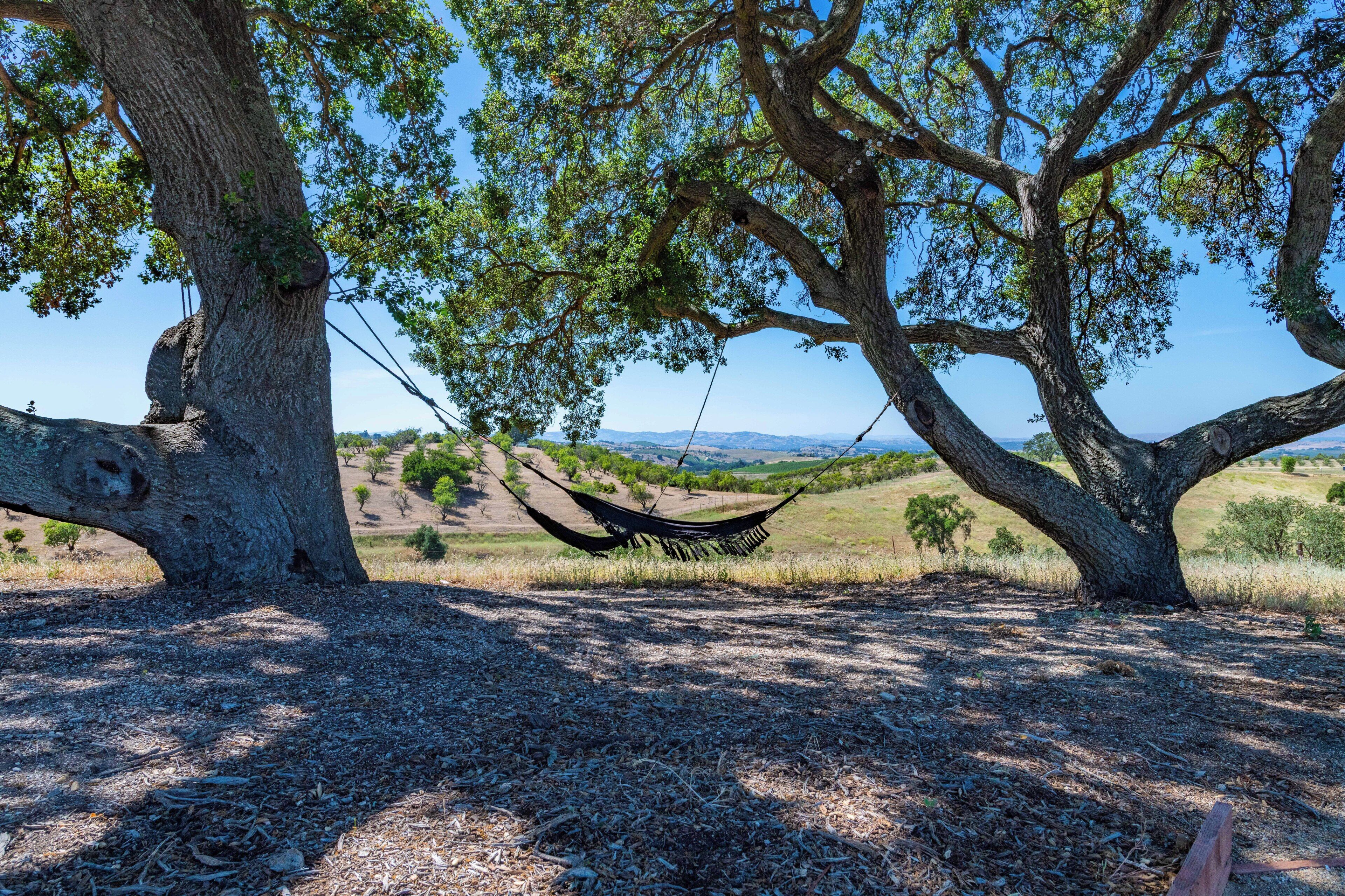 Un hamac tendu entre deux arbres, dans un cadre naturel.