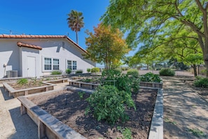 A garden with raised beds, a white building with a red roof, and a palm tree. - Hilltop Oasis (Templeton)