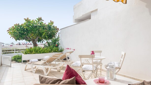 Una terraza en la azotea con sillones, una mesa y una planta en maceta.