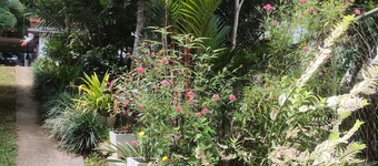 Fruit & Spices Garden Family Friendly Home Stay Kandy