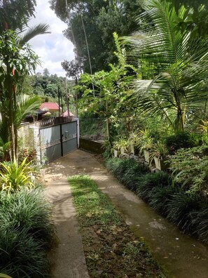 Property grounds - Fruit & Spices Garden Family Friendly Home Stay Kandy (Kandy)