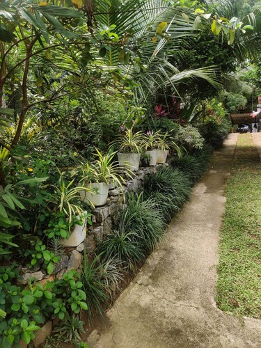 Fruit & Spices Garden Family Friendly Home Stay Kandy
