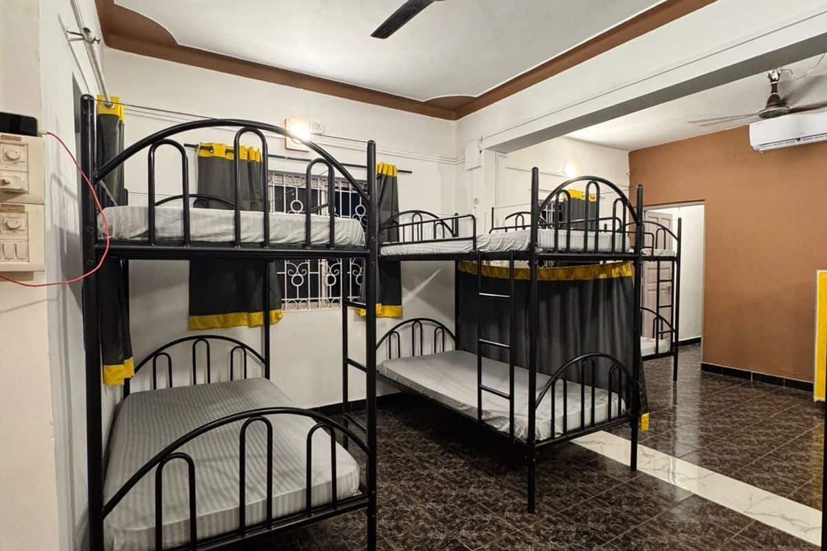 Purple Dorm | Free WiFi