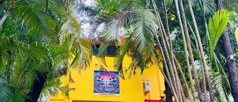A colorful hostel named "Lost Paradise" with a vibrant yellow facade, surrounded by lush greenery.