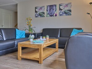 تلفزيون، مشغل دي في دي