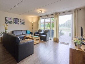 تلفزيون، مشغل دي في دي