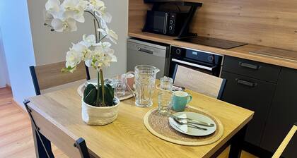 Villa Anita -centre ville -parking privé- wifi .