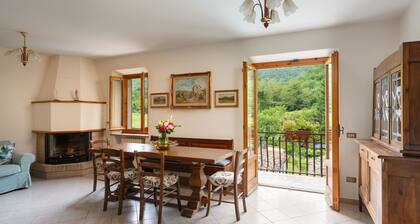 Country House / Farm House in Borgo San Lorenzo with 3 bedrooms sleeps 8