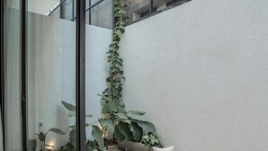 A modern interior with a glass partition, a seating area with cushions, and a vertical garden. - Charming 2-bedroom Oasis Smart Apartment with AC, WiFi in marvelous Bali (Bali)