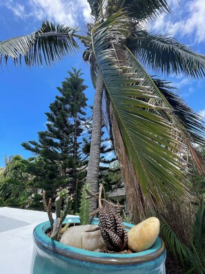 Enceinte de l’hébergement