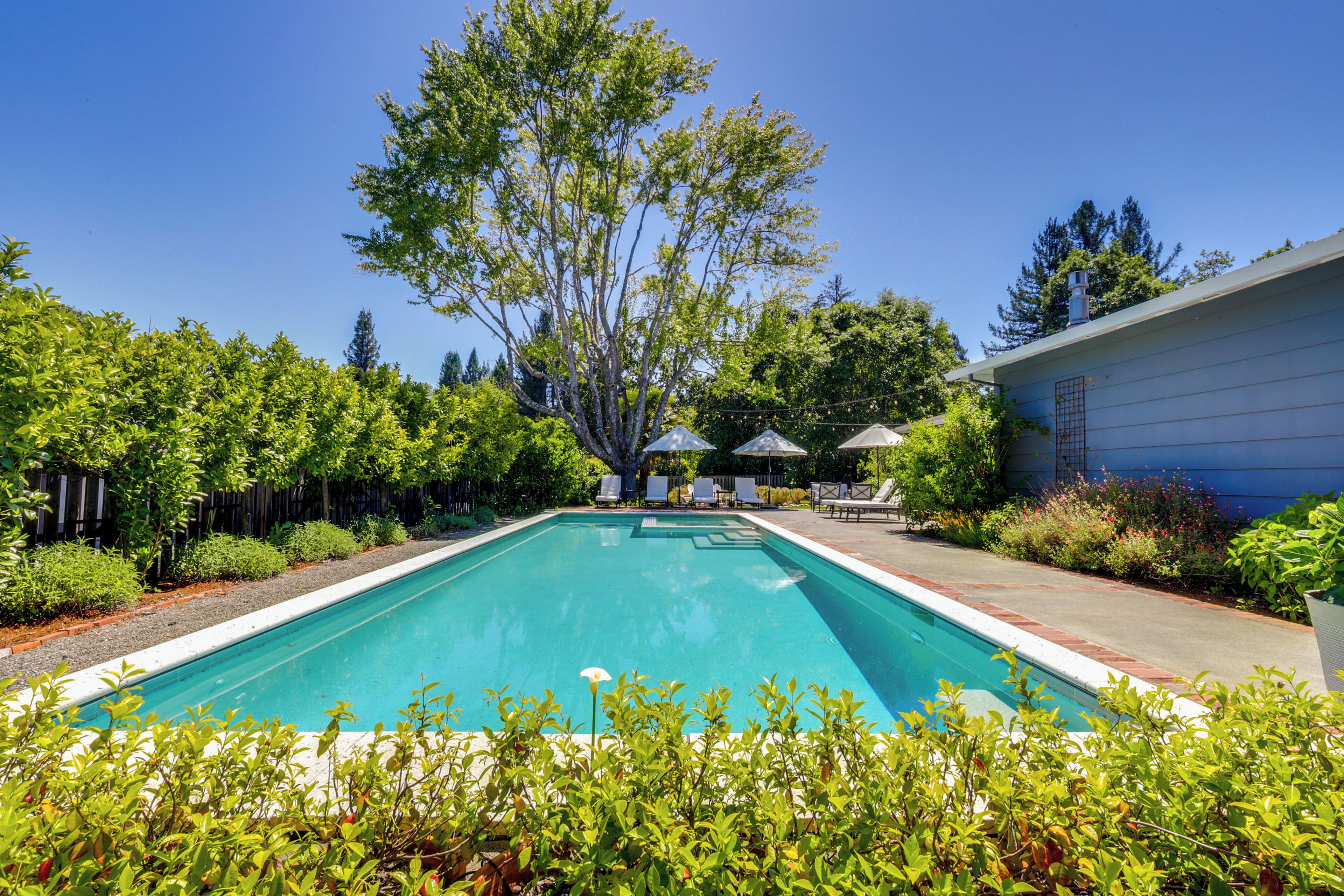 Una piscina rectangular con superficie de agua cristalina y azul, rodeada de abundante vegetación y una valla de madera.
