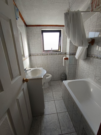 Towels, soap, toilet paper. Apartment Javiera Downtown Osorno