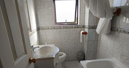 Apartment Javiera Downtown Osorno