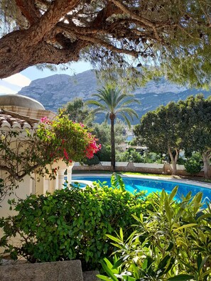 Zona de piscina con abundante vegetación, una palmera y montañas al fondo.
