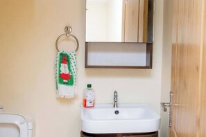 Shower, towels, soap, toilet paper