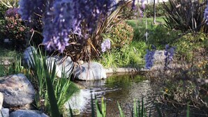 A garden with a small pond, rocks, and purple flowers. - Lovely 2/2 with optional 3rd bedroom condo one exit from the Del Mar Racetrack (San Diego)