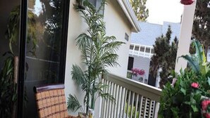 A wicker chair on a balcony with a potted plant and a white railing. - Lovely 2/2 with optional 3rd bedroom condo one exit from the Del Mar Racetrack (San Diego)
