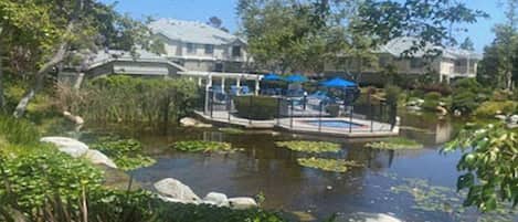 A pond with lily pads and a dock, surrounded by greenery and buildings in the background.