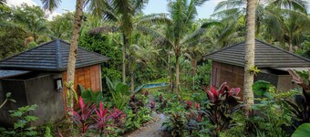 Bali Secret Jungle