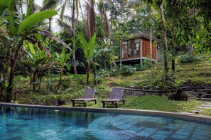 Outdoor pool - Bali Secret Jungle (Selemadeg)