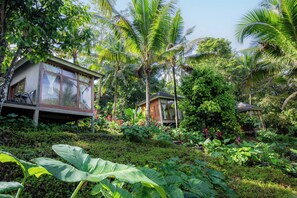 Cabin, 1 Double Bed - Bali Secret Jungle (Selemadeg)