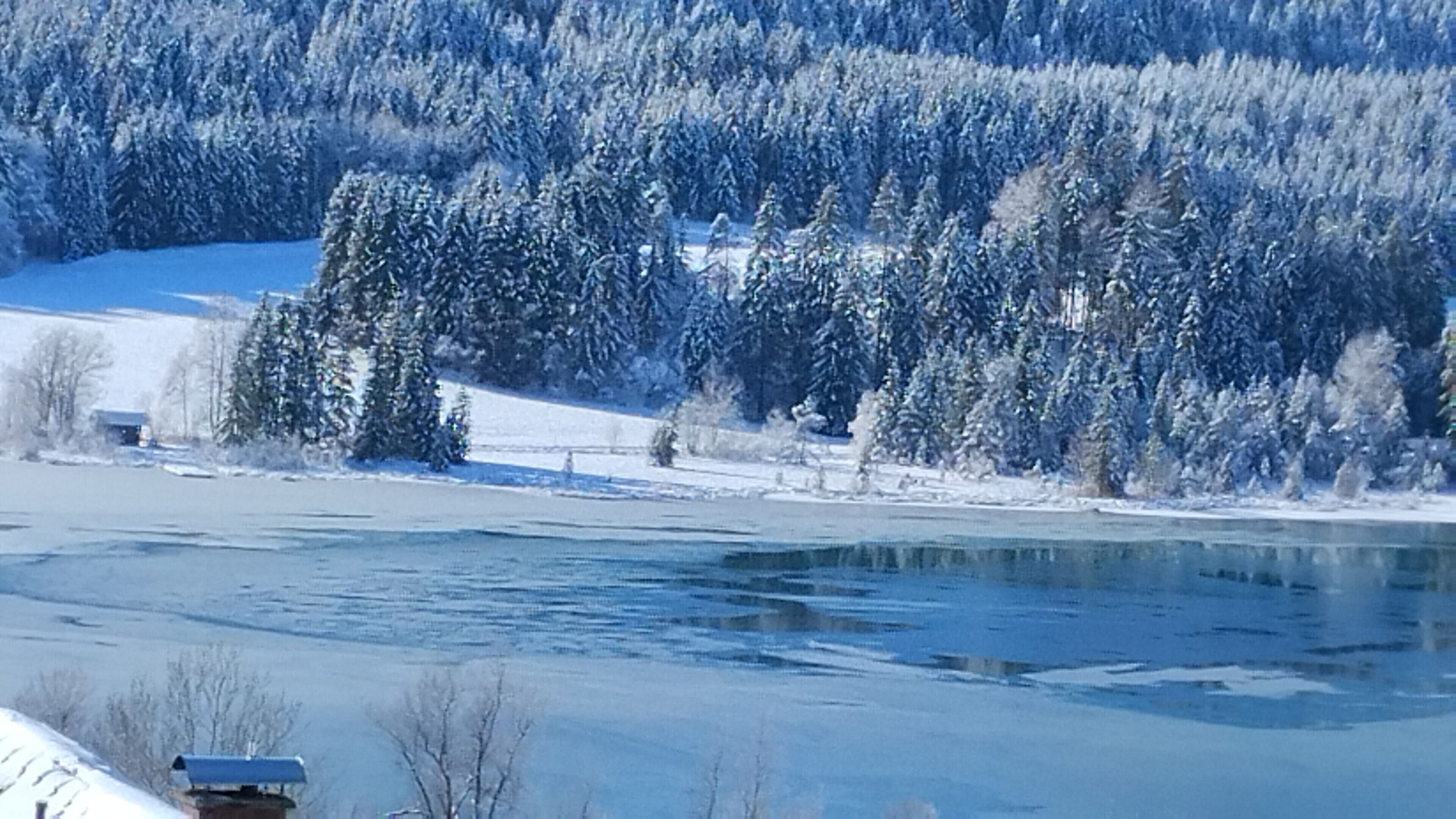 Ein gefrorener Fluss mit schneebedeckten Bäumen und ein kleines Gebäude in der Ferne.