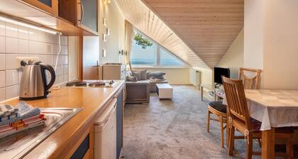 Apartment with Lake View, Balcony and Wi-Fi