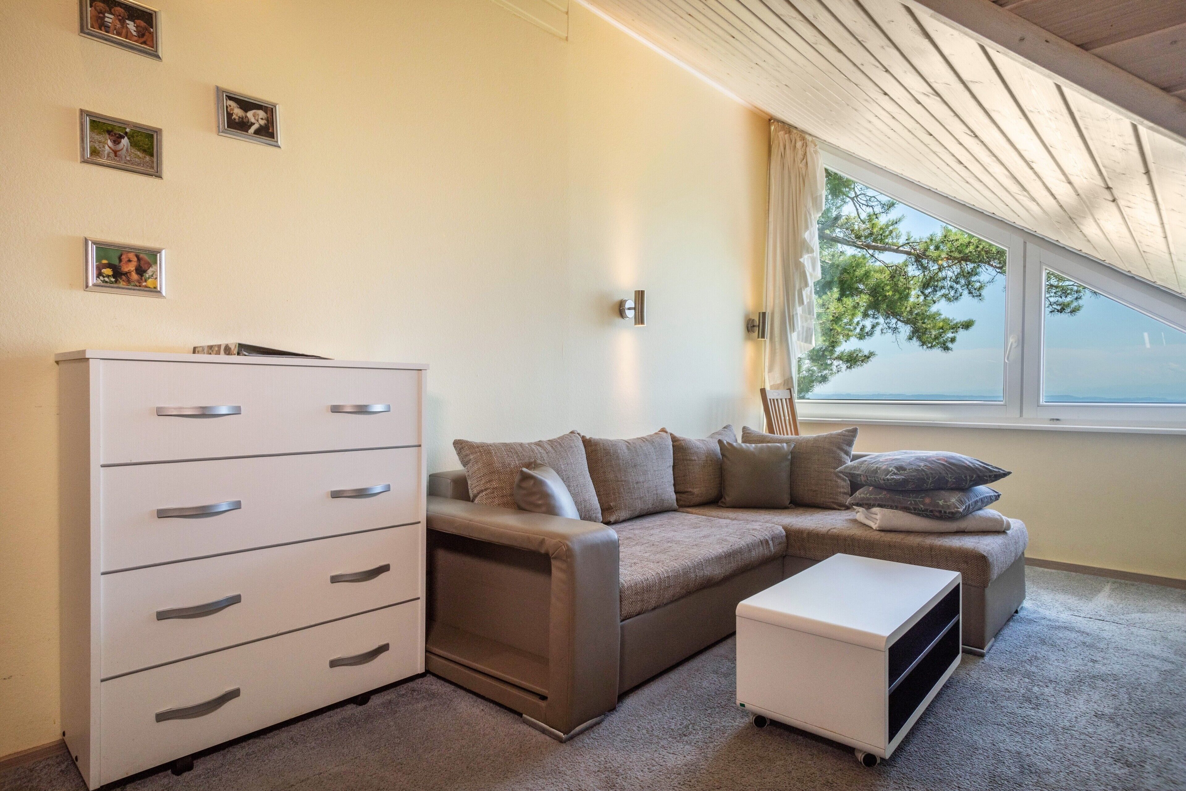 Téléviseur, lecteur de DVD