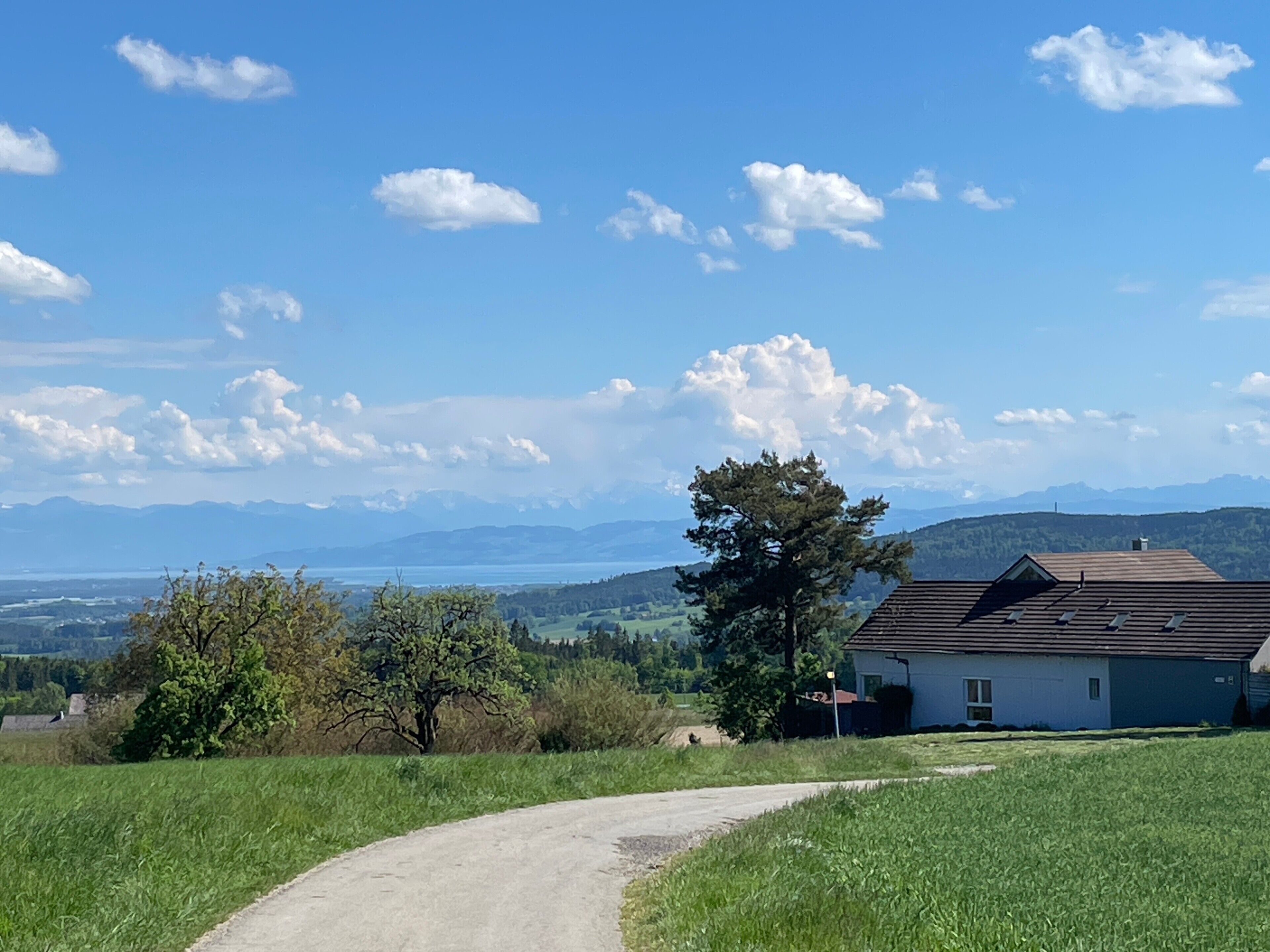 Paisaje rural con una casa, un camino de tierra y montañas a lo lejos.