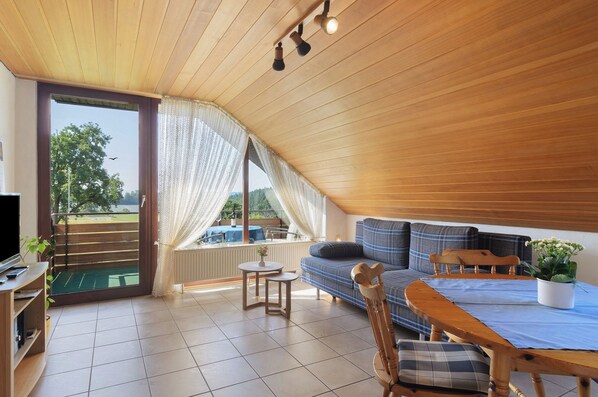 TV, DVD player, table tennis, stereo