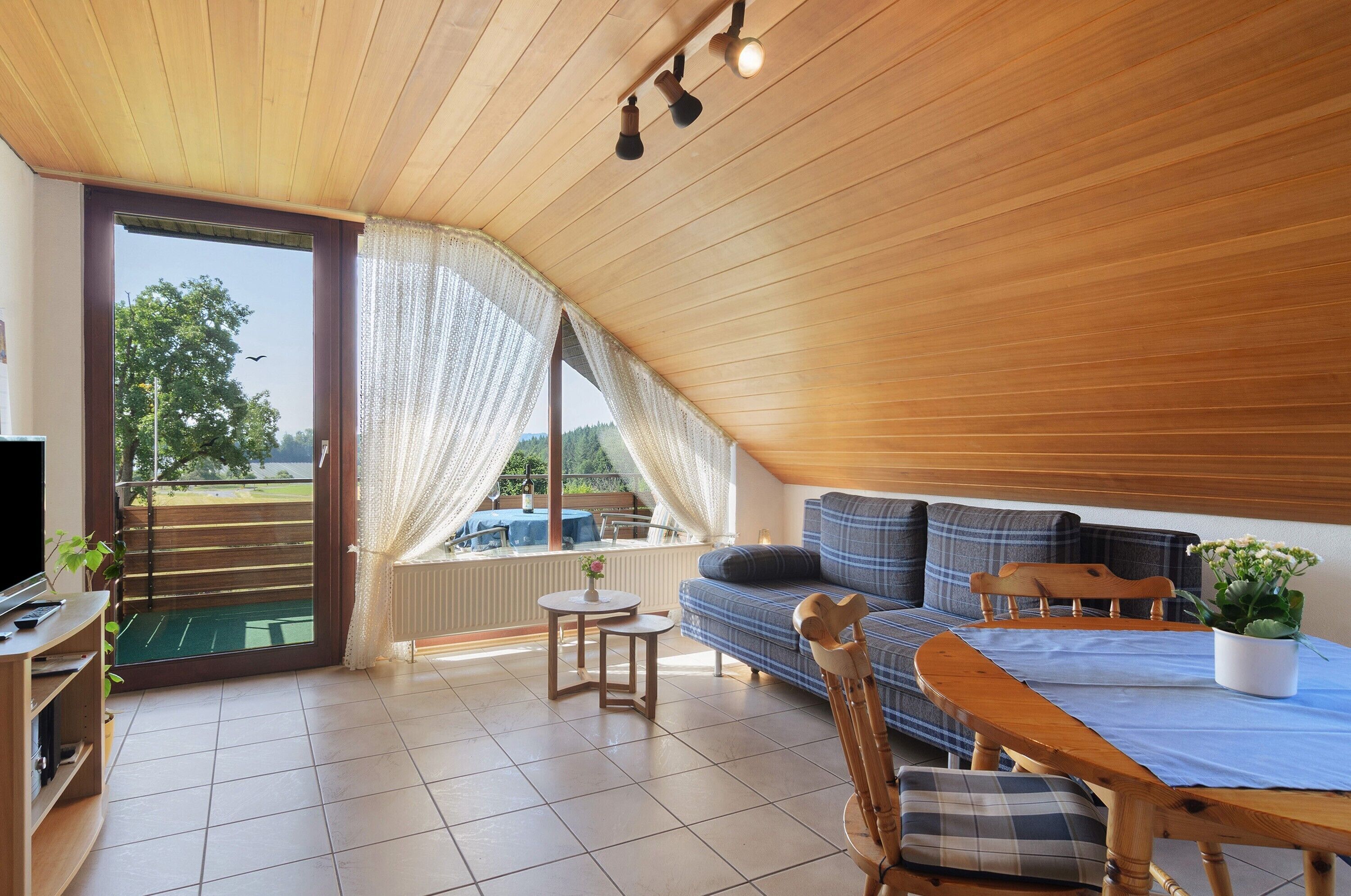 Téléviseur, lecteur de DVD, table de ping-pong, chaîne audio