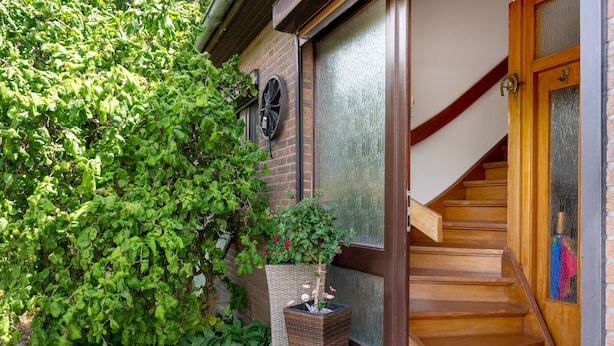 Una escalera de madera que lleva a una puerta, una planta en maceta y un muro de ladrillo con una ventana.