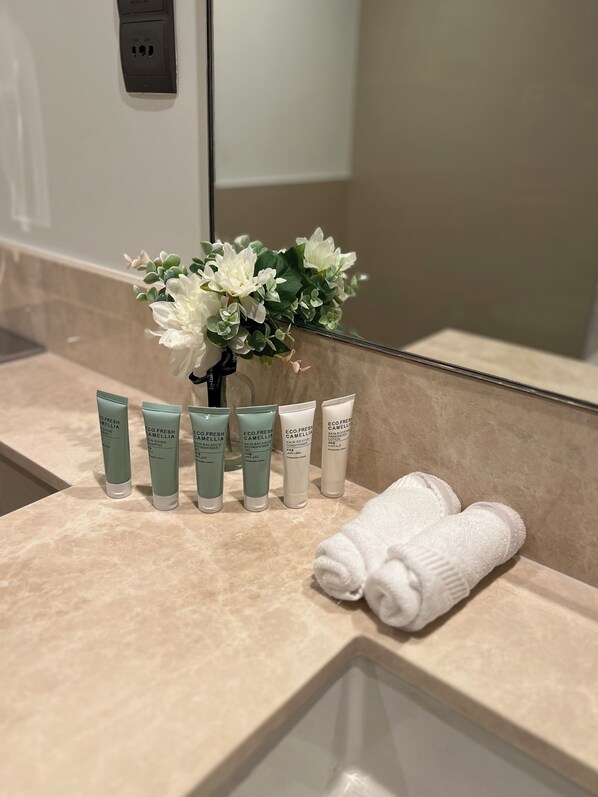 Hair dryer, towels, soap, toilet paper