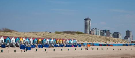 Una spiaggia nelle vicinanze