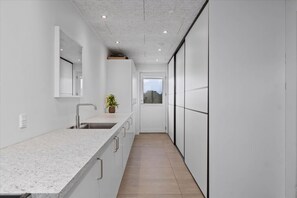 Une cuisine moderne avec un long plan de travail, un évier et une plante en pot.