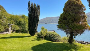 Un cadre paisible au bord d’un lac, avec une pelouse bien entretenue, un grand arbre à feuilles persistantes et une petite construction en bois.