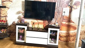 En stue med et fladskærms-TV på et træskab, dekorativ vægkunst og en væg med stentekstur.