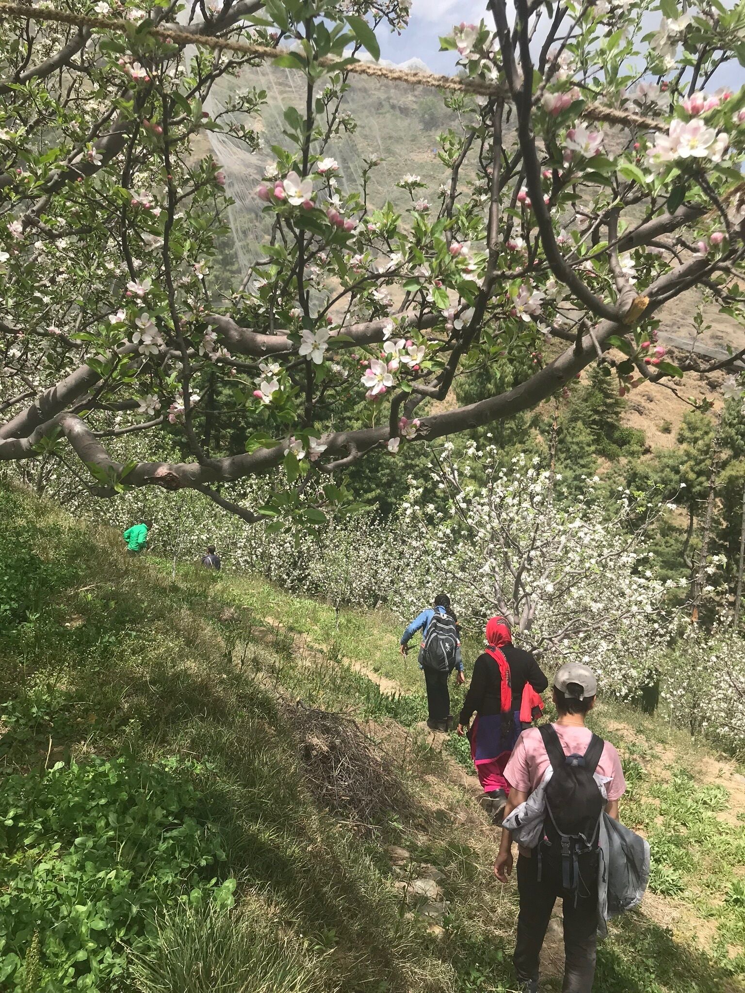 住宿地圖