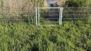 A fenced area with a dock extending into a body of water, surrounded by tall grass and trees.