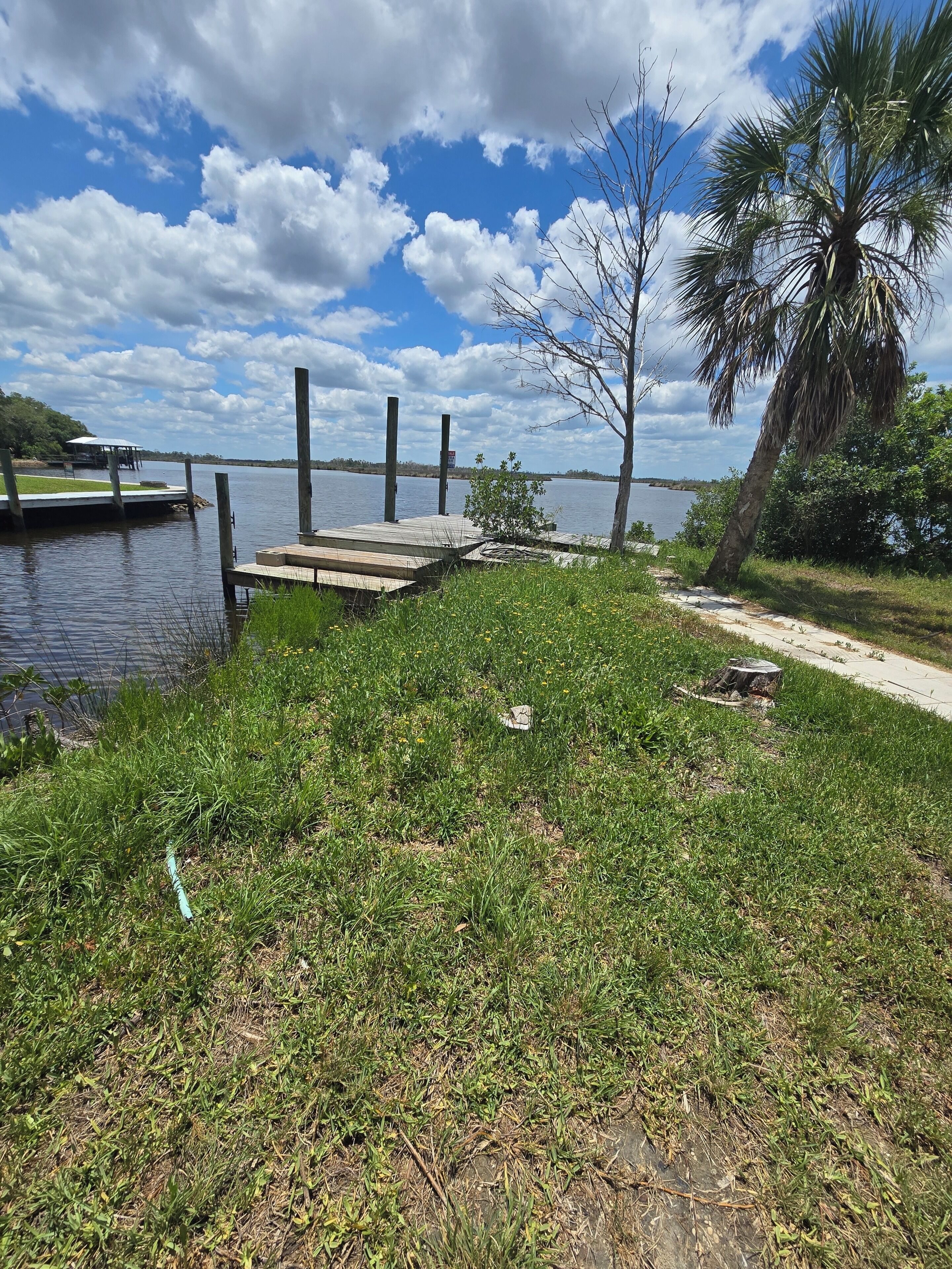 A dock extending into a body of water, surrounded by grassy areas and a palm tree.