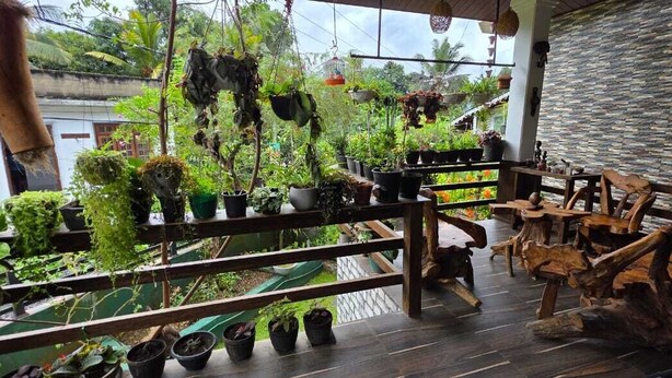 A wooden deck with potted plants and rustic furniture. - Kandy Comforts (Katugastota)